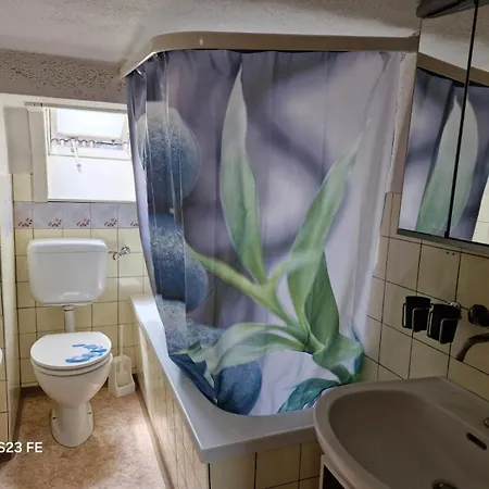 Privates Schoenes Zimmer Und Gemeinschaftsbad Und Kueche Im Zentrum Apartment Zizers